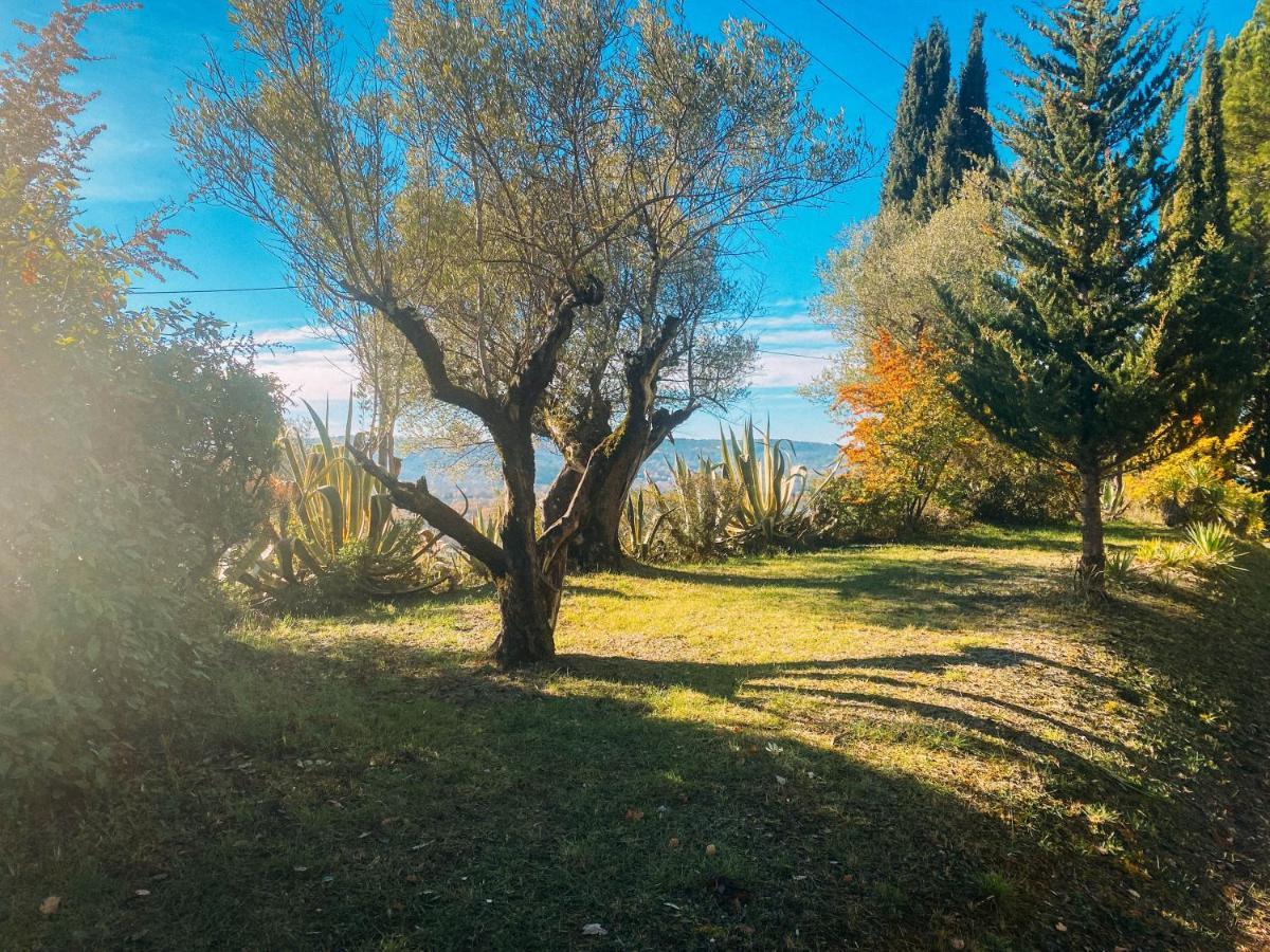 Les Lodges De Saint Cassien 2 Montauroux Luaran gambar